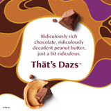 Haagen-Dazs Chocolate Peanut Butter Ice Cream, 14 fl oz (Frozen)