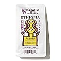 Red Rooster Coffee, Ethiopia Worka Sakaro Anaerobic Natural Coffee - Light Roast, Single Origin Landrace - Notes of Raspberry Tea, Milk Chocolate