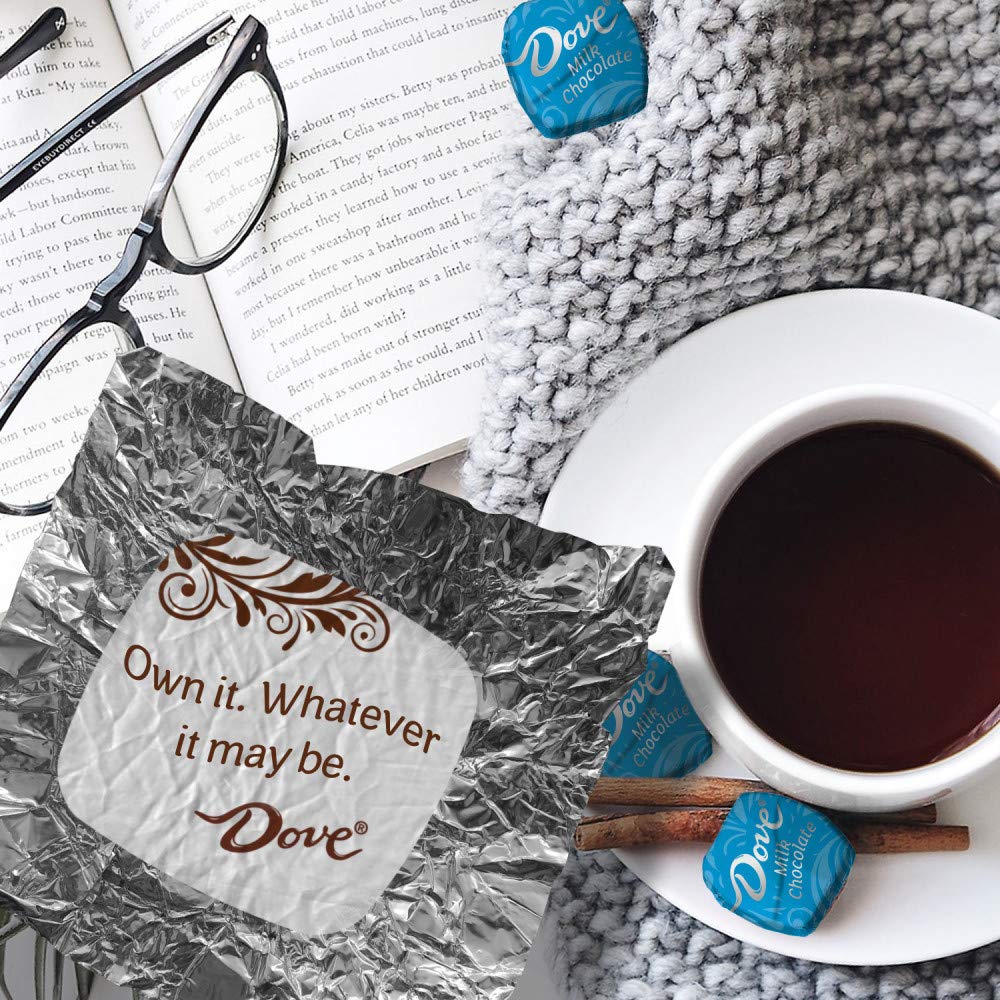 DOVE PROMISES Milk Chocolate Candy Bag, 8.46 oz