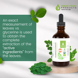 Green Virgin Moringa Ultimate Liquid Leaf Extract - 2 Fl Oz (Pack of 1)