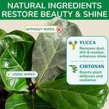 Houseplant Leaf Shine & Cleaner Wipes | Removes Dust, Dirt & Water Spots for Healthier, Glossy Leaves | Easy-to-Use Natural Leaf Cleaning Wipes