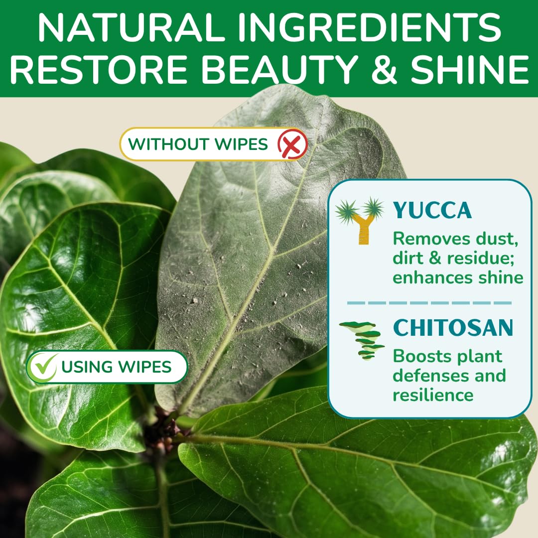 Houseplant Leaf Shine & Cleaner Wipes | Removes Dust, Dirt & Water Spots for Healthier, Glossy Leaves | Easy-to-Use Natural Leaf Cleaning Wipes