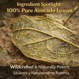 Avocado Tea Leaves 4oz - 100% Natural Hojas De Aguacate, Herbal Aromatic Tea, Caffeine-Free, Non-GMO, Single Pack