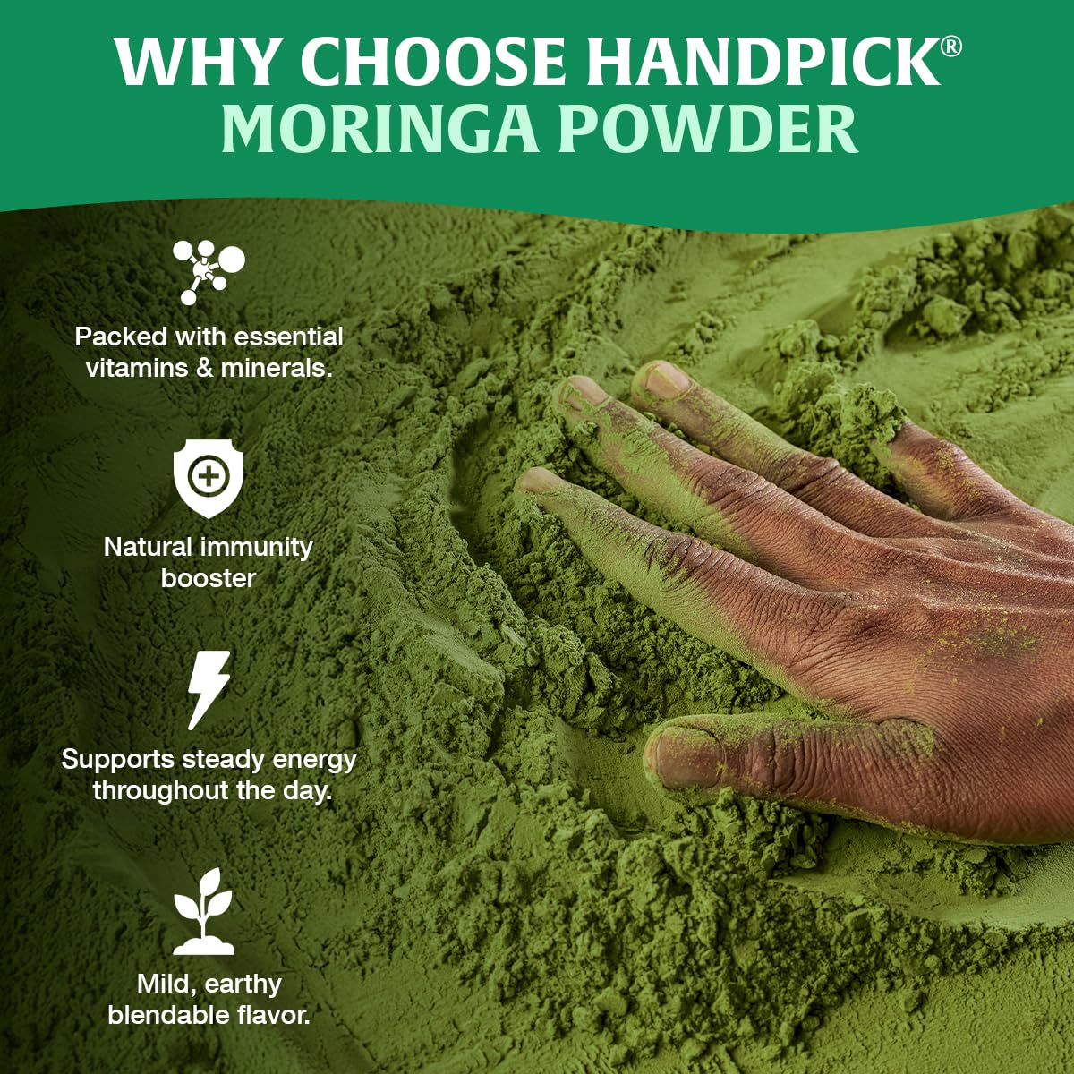 HANDPICK USDA Organic Moringa Powder (397g/14oz) Pure Moringa Oleifera Leaf Powder | Authentic Indian Origin | Gluten Free, Non-GMO | Perfect