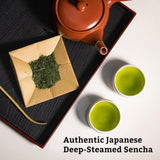 SUGIMOTO TEA Japanese Sencha Fukamushi Green Tea Loose Leaf Bulk 1.0 lb (454 g)