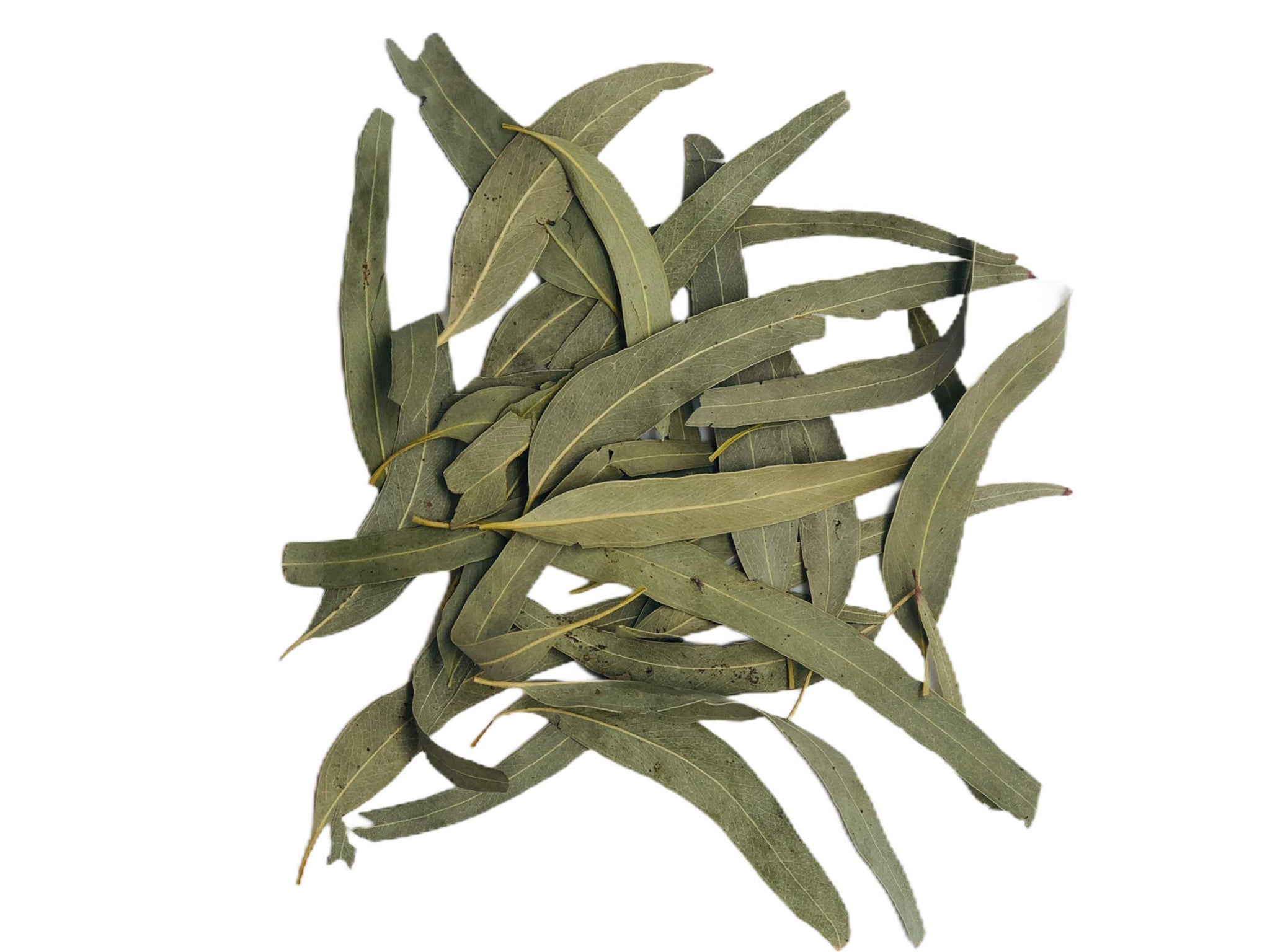 Eucalyptus Dried Whole Leaves, 2 oz, Hojas De Eucalipto, Eucalyptus Herbal Tea 2 oz, Product From India, Packaged in the USA