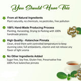 Kalanchoe Pinnata Leaves Powder Herbal Tea - 100% Pure, Organic Ground Powder for Natural Use in Cooking and DIY Projects