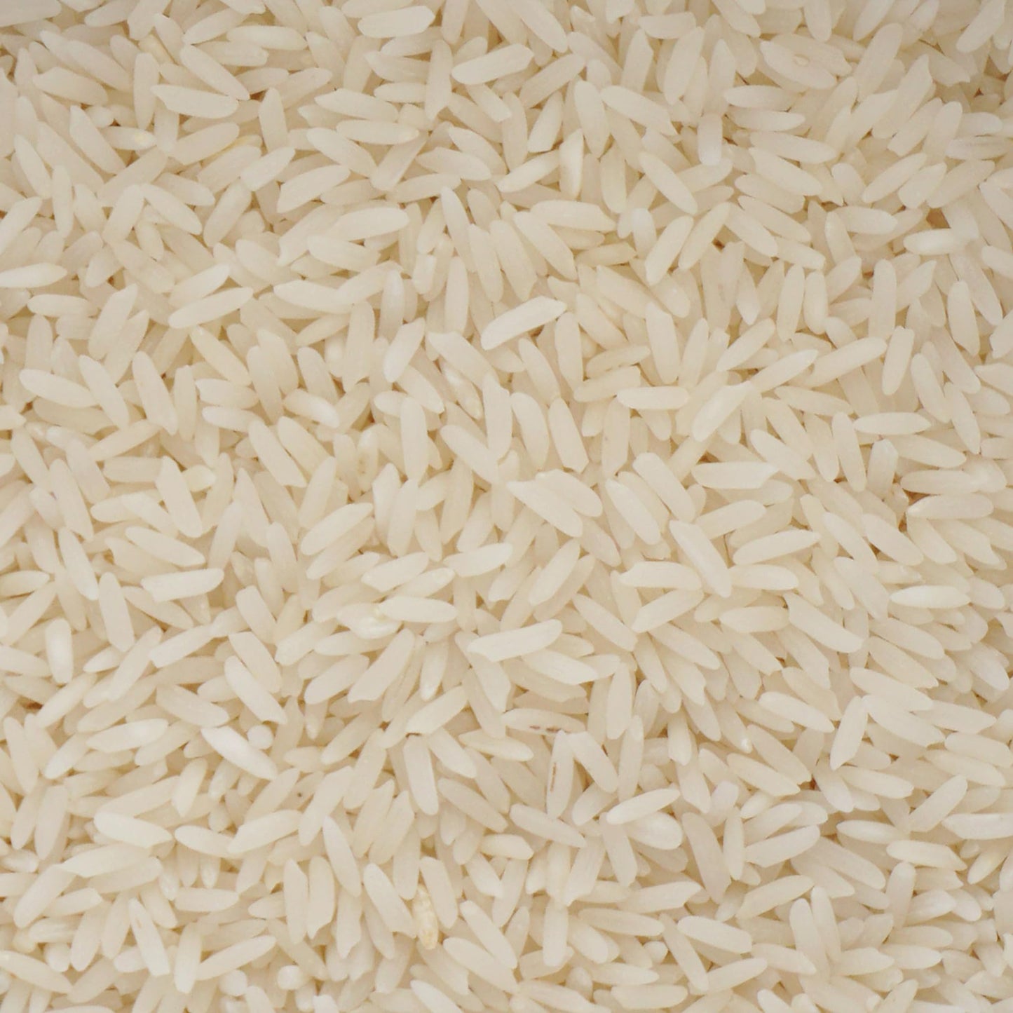 Jasmine Rice, 2 Pound Bulk Bag, Hampton Distribution
