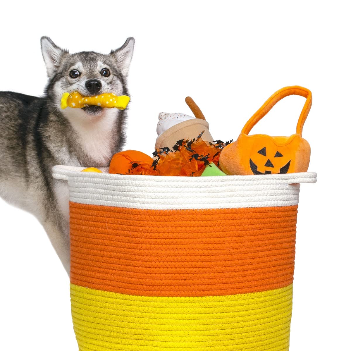 Midlee Candy Corn Rope Basket (Large)