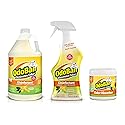 OdoBan Ready-to-Use Disinfectant and Odor Eliminator, Set of 3, 32 oz Spray, 1 Gallon Concentrate and 14 oz Solid Odor Absorber, Citrus Scent