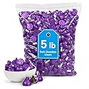 Dark Mildly Sweet Chocolate Pieces, Bulk Full Size, 5 Pound Bag