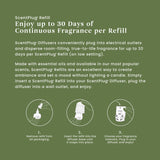 Yankee Candle ScentPlug Refill, Balsam & Cedar Juniper Berry Scented Oil, Plug In Air Freshener for Home Long Lasting Continuous Fragrance, 0.625 Oz