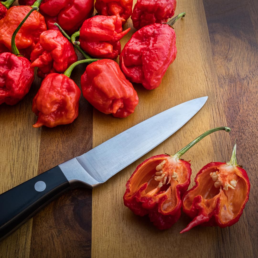 Birch & Meadow Carolina Reaper Peppers, 3.2 oz, Whole & Dried, Extremely Hot, Over 1 Million SHU