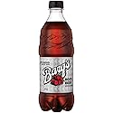 Barq's Root Beer 20 oz Soda Bottles (Pack of 24)