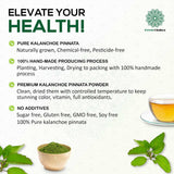 Kalanchoe Pinnata Herbal Tea Bags (25 Count) - Pure Leaf Tea, Naturally Dried, Caffeine-Free Botanical Infusion, Premium Quality Herbal Tea