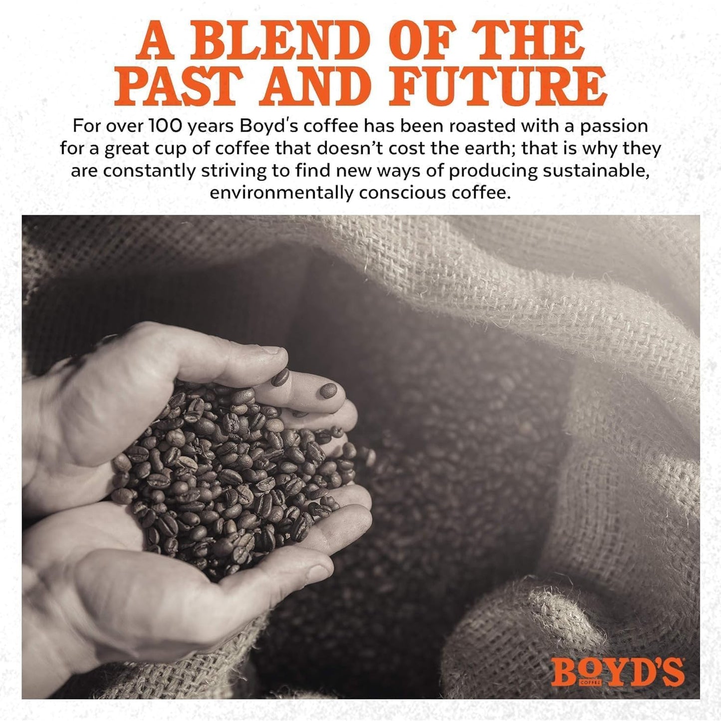 Boyd's Coffee- Original Roast Coffee - Ground Medium Roast - Blended from 100% Arabica - Rich & Full-Flavored - 12 Oz.