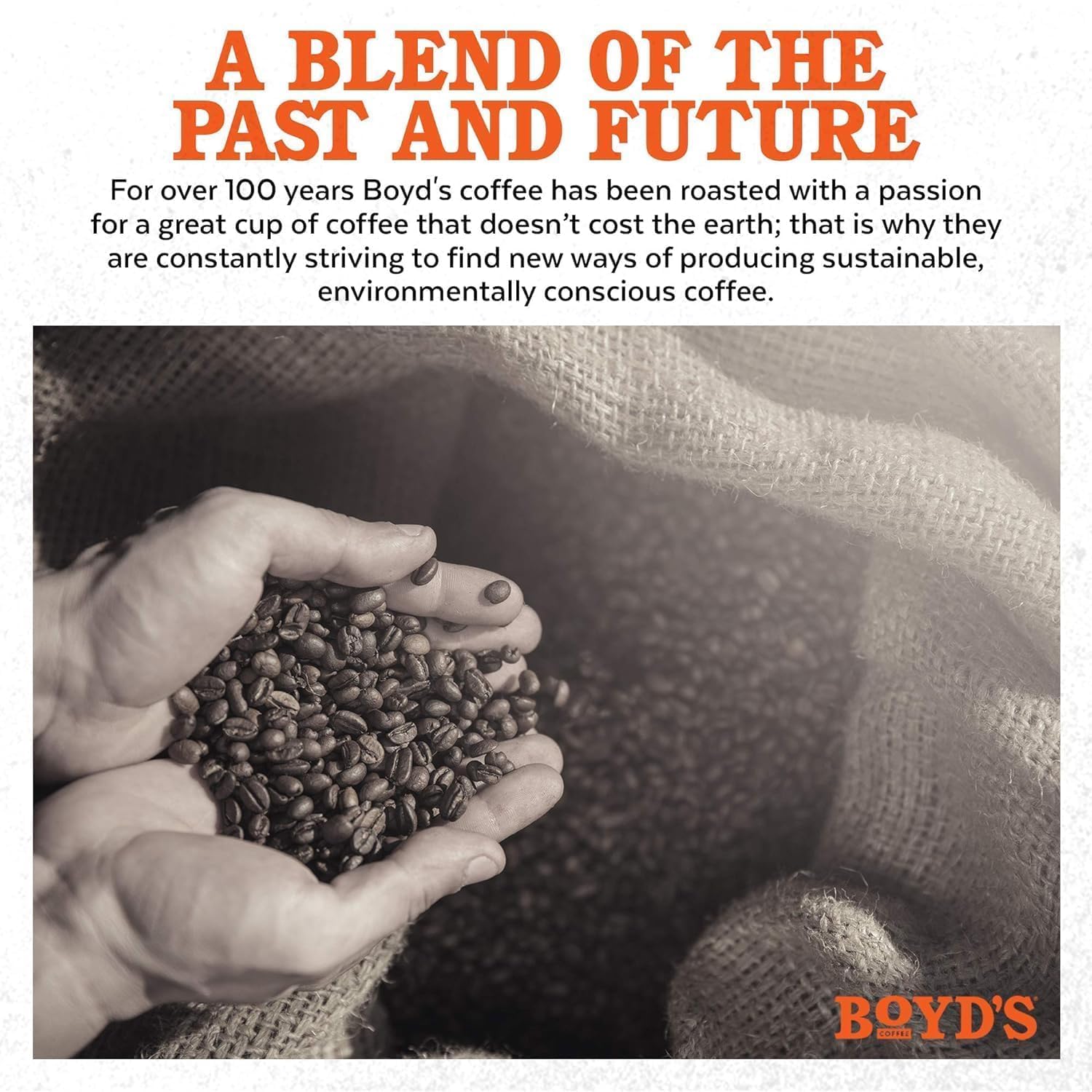 Boyd's Coffee- Original Roast Coffee - Ground Medium Roast - Blended from 100% Arabica - Rich & Full-Flavored - 12 Oz.
