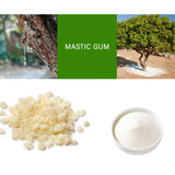 [Medicinal Herbal Powder] 100% Natural Mastic Gum Powder ??? ? ?? (8 oz)
