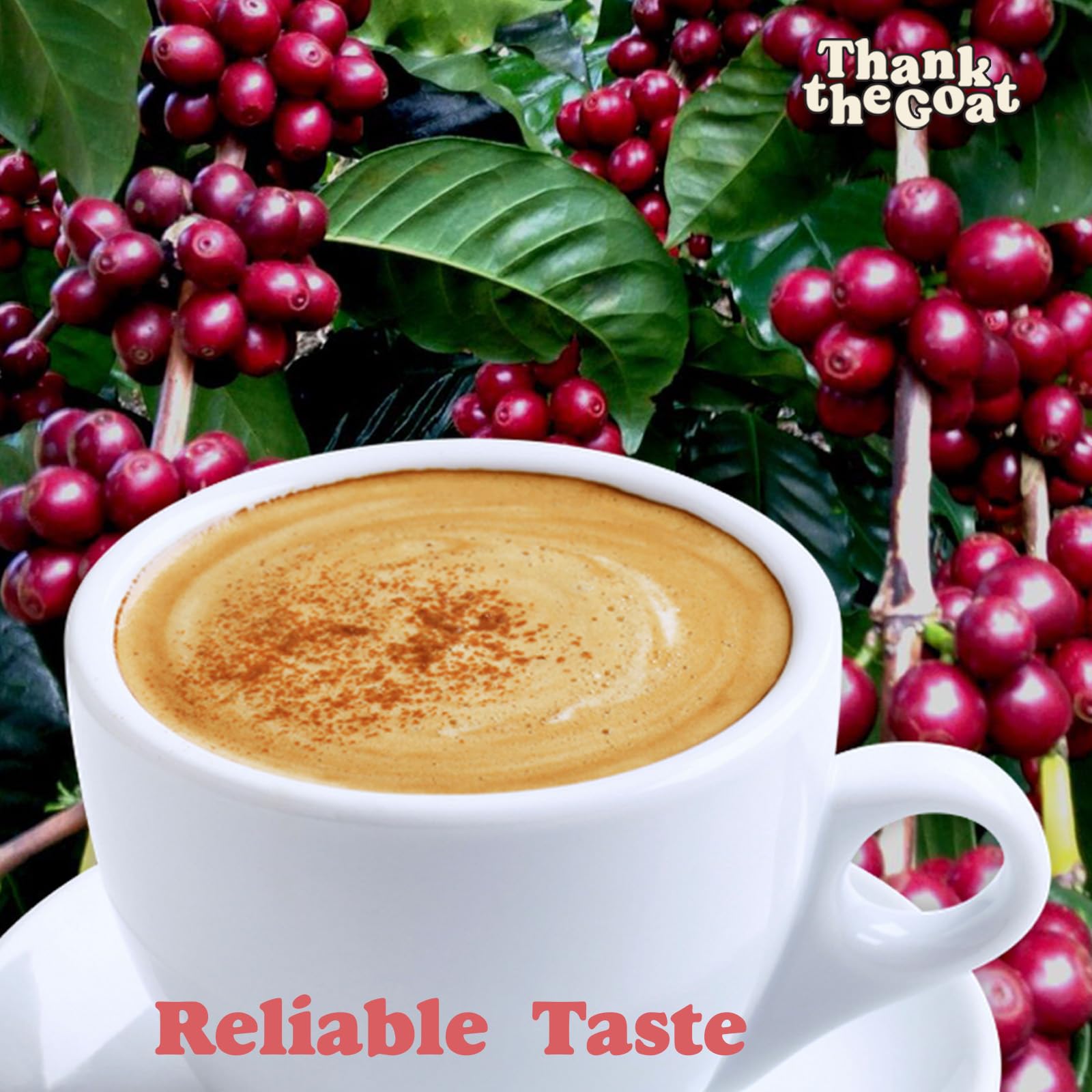 Thank the Goat Gourmet Made to Order Coffee Pods, Freshly Roasted, Dark Roast Compatible with Keurig 2.0 K-Cup Brewers, From Kilimanjaro, Tanzania, 24