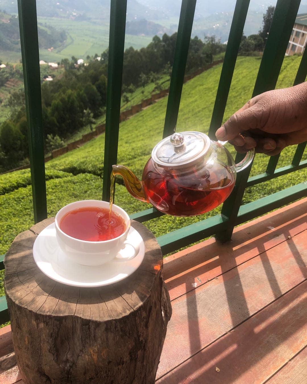 Asami Rwandan Black Tea 100g | Premium Organic Loose Leaf Black Tea | High Caffeine African Breakfast Pure Leaf Teas with Rich Malty & Smooth Honey