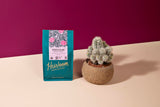 Heirloom Coffee Roasters - Bedrock Blend - Medium/Dark Roast - Whole Bean Coffee - 100% Regenerative Organic Certified, 12oz