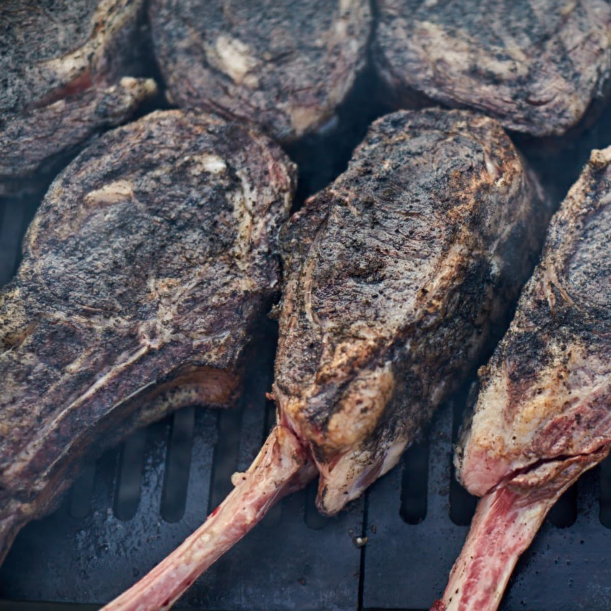 Hardcore Carnivore Black: Activated Charcoal Meat Seasoning Rub (58 oz Mega Pack) Texas-Made, Blend for Steak, Brisket, Burgers, BBQ, Grilling