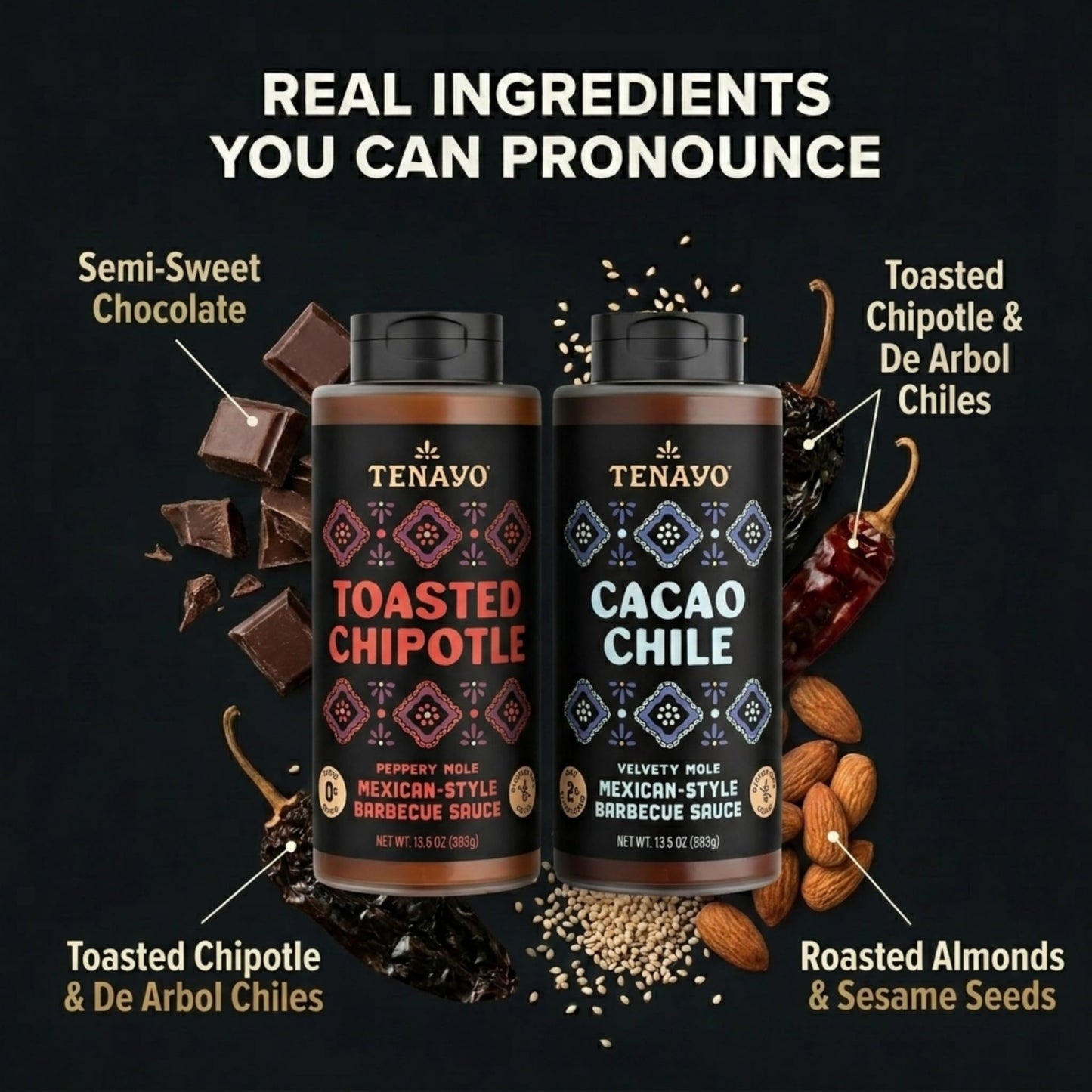 Tenayo Toasted Chipotle & Cacao Chile Barbecue Sauce 2-Pack (13.5 oz Bottles) - Mexican Style Sauce Duo with Chipotle, Chocolate, Chiles & Spices