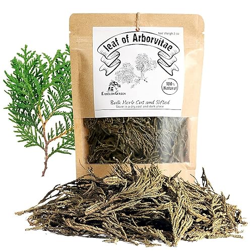 EidolonGreen [China Medicinal Herb] Leaf of Arborvitae (Green leaf of Arborvitae/Thuja/???/???/Ce bai ye) Dried Bulk Herbs (3 Oz / 88g)
