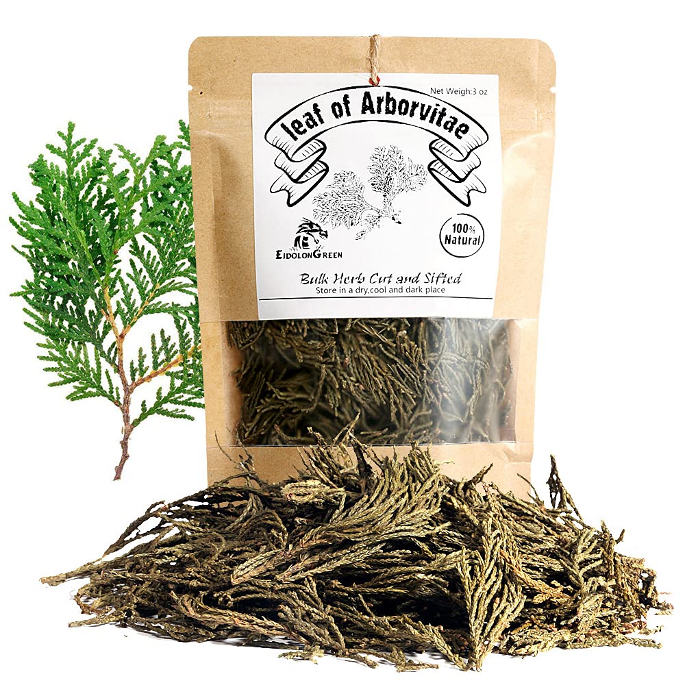 EidolonGreen [China Medicinal Herb] Leaf of Arborvitae (Green leaf of Arborvitae/Thuja/???/???/Ce bai ye) Dried Bulk Herbs (3 Oz / 88g)