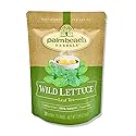 Palm Beach Medicinal Herbs - Wild Lettuce Leaf Tea - Pure Herbal Tea Series, 30ct
