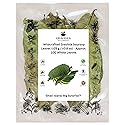 Graviola Tea Company® Wildcrafted Graviola Soursop Leaves (±25 g / ±0.8 oz) Approx. 100 Whole Leaves