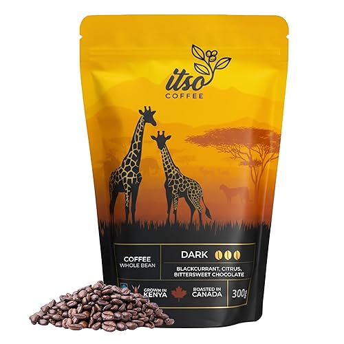 Dark Roast Whole Bean Coffee - Bold & Smooth Arabica for Espresso & Cold Brew - Fresh Roasted Specialty Coffee, Single Origin 300g Bag - Premium