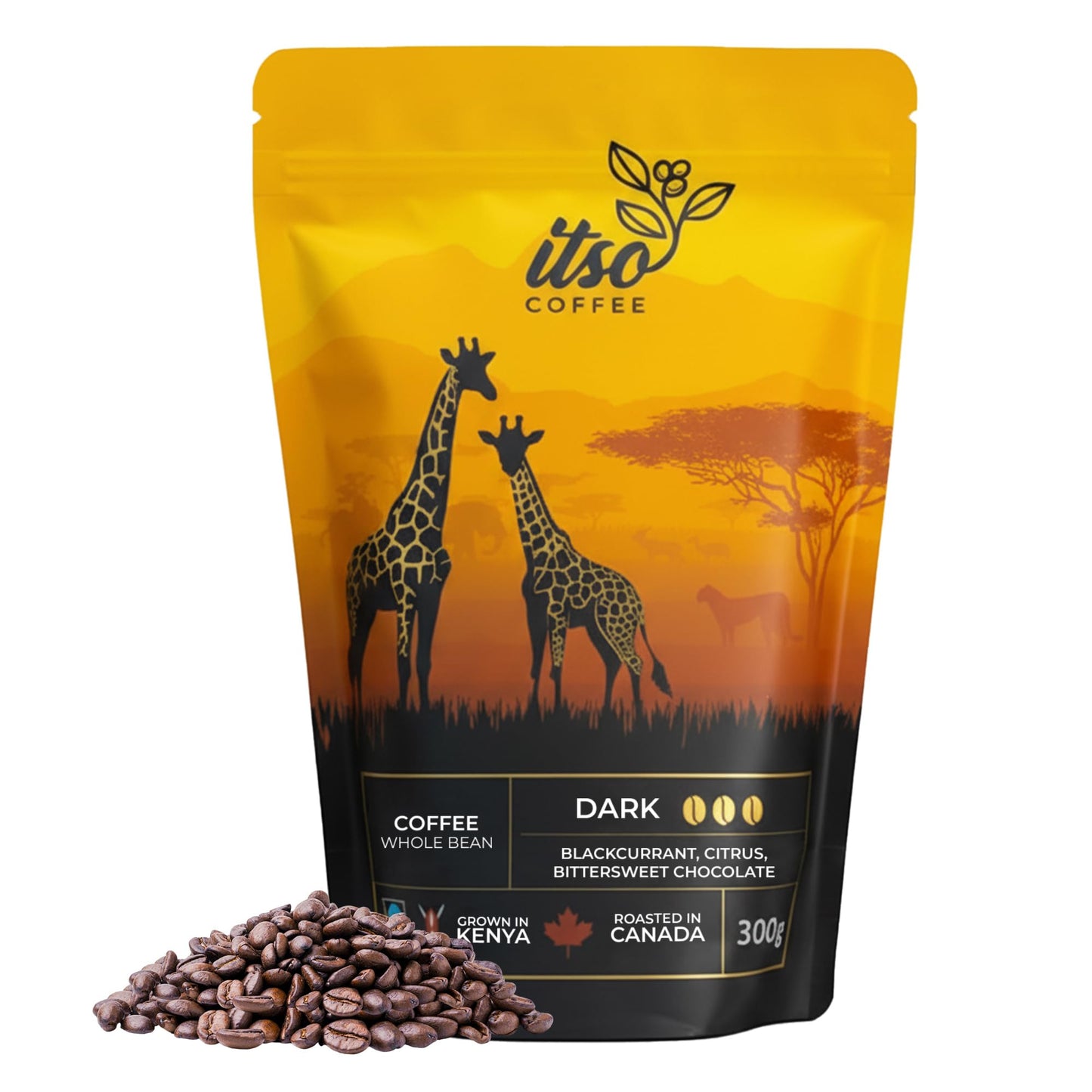 Dark Roast Whole Bean Coffee - Bold & Smooth Arabica for Espresso & Cold Brew - Fresh Roasted Specialty Coffee, Single Origin 300g Bag - Premium