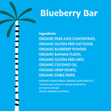 Dino Bars | Organic Fruit Bar for Kids | Organic Toddler Bars and Dinosaur Snacks | Fruit + Oats + Hemp Hearts with Edible Paper | Blueberry Kids Bar