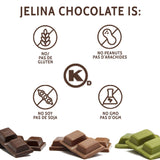Jelina Chocolatier | Dark Chocolate Bar with Cacao Nibs | Fair Trade Chocolate Bars | Imported, Non-GMO, Natural Chocolates - 3.52oz Each (Cacao Nibs