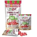 YoGut Freeze Dried Yogurt Snack Pack, Healthy, On-the-Go Smoothie Melts Snacks for Kids & Adults, Gluten Free, Non GMO with 5 Billion Live Probiotics