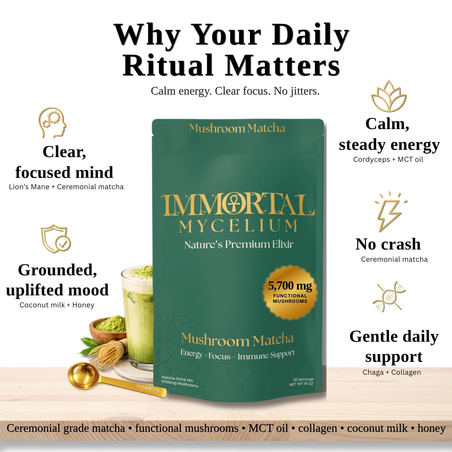 Immortal Mycelium Mushroom Matcha Drink Mix - Ceremonial Grade Matcha with Lion’s Mane, Cordyceps & Chaga - Creamy Adaptogenic Green Tea Latte - 15