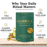 Immortal Mycelium Mushroom Matcha Drink Mix - Ceremonial Grade Matcha with Lion’s Mane, Cordyceps & Chaga - Creamy Adaptogenic Green Tea Latte - 15