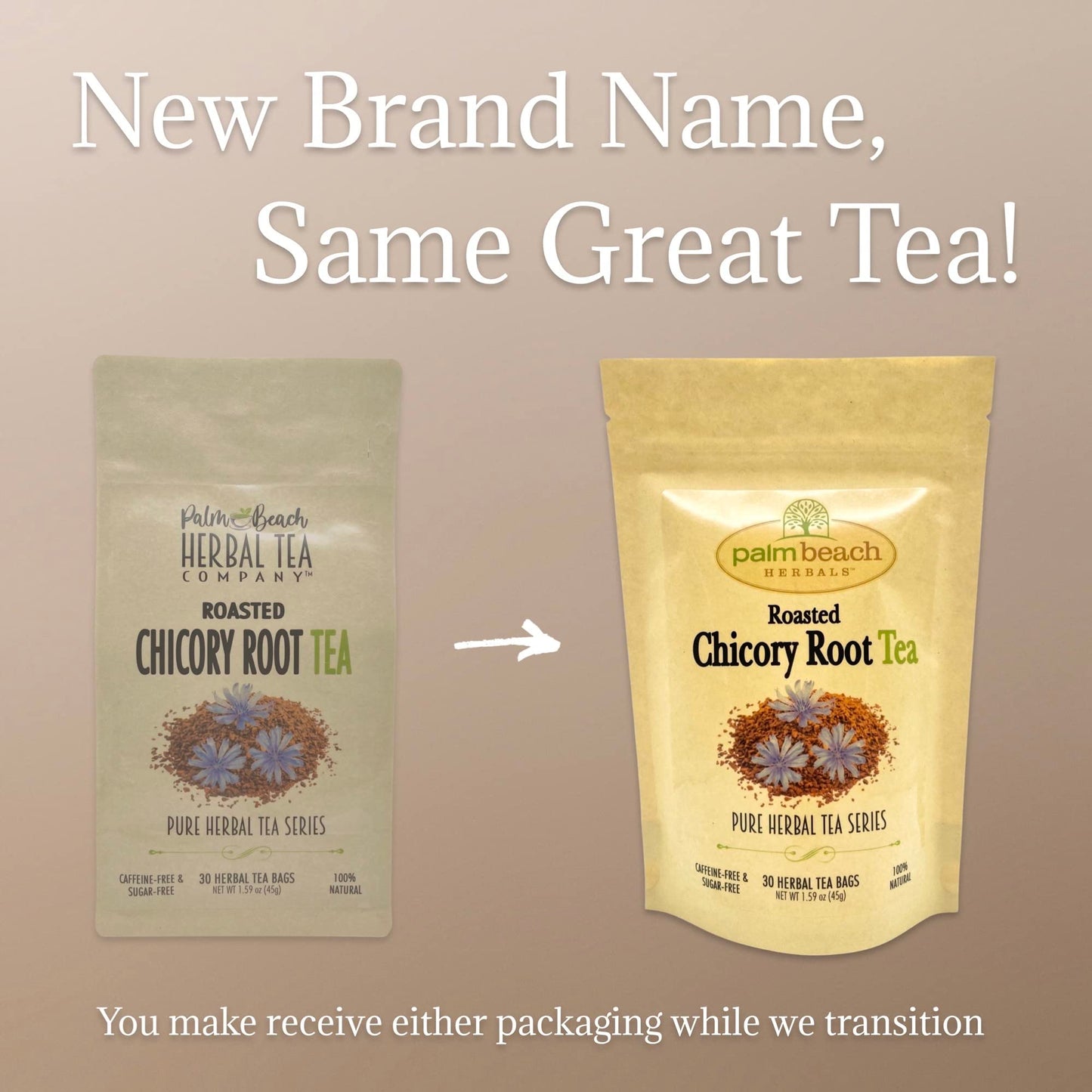 Palm Beach Medicinal Herbs - Roasted Chicory Root Tea - Pure Herbal Tea Series, 30ct