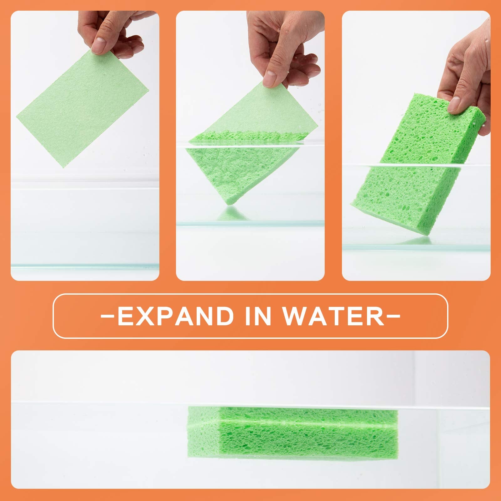Yeethewengle Compressed Cellulose Sponges, Bulk Multi-Use, Non-Scratch Cleaning Scrub Sponges for Kitchen,Bathroom, 10 Pack+ 2 Free Scouring Pad Dish