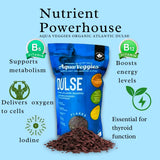 Aqua Veggies Organic Atlantic Dulse Flakes 227g 1/2lbs, Hand-Harvested, Sun-Dried Bay of Fundy, Excellent Source of Vitamins B6, B12, Iron, Iodine