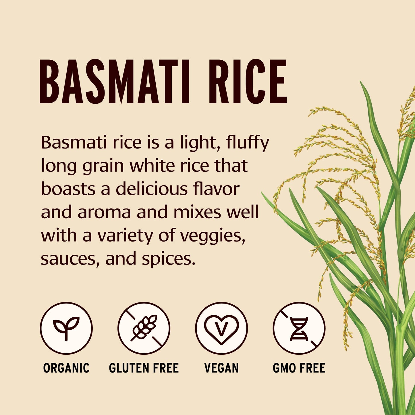 Banyan Botanicals White Basmati Rice - Organic & Pure Basmati Rice for Cooking Healthy Meals and Making Kitchari - With Resealable Zipper Bag - 5 lbs - Non-GMO Sustainably Sourced Vegan