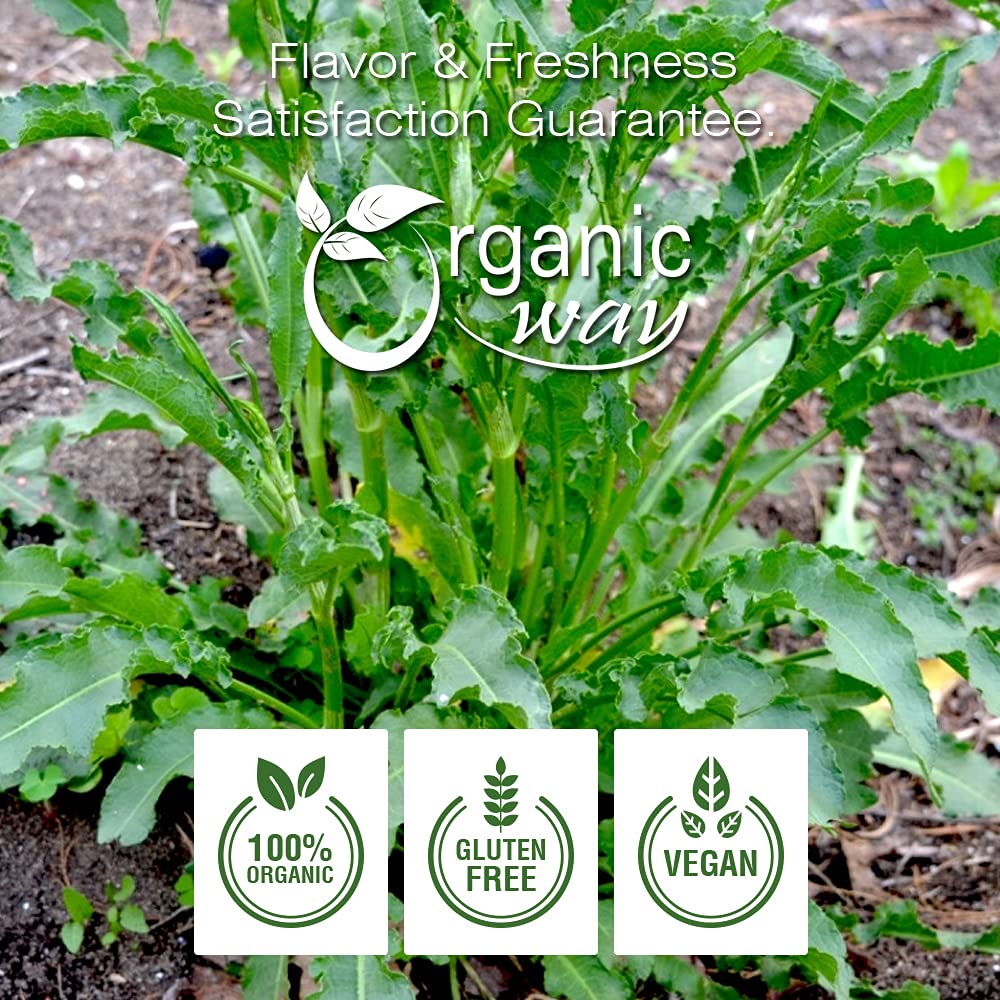 Organic Way Yellow Dock Root Powder (Rumex crispus) - European Wild-Harvest | Organic & Kosher Certified | Vegan, Non GMO & Gluten Free | USDA