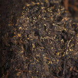 FullChea - 2023/2025 Fucha Tea Brick - Dark Tea Loose Leaf - Golden Flower Tea - Heicha From Hunan Anhua - Aids Digestion - 11.21oz / 318g