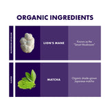 Host Defense MycoBrew Matcha - Matcha Drink Mix - Matcha Green Tea Powder that Includes Lion's Mushroom - Drink Mix with Organic Matcha Tea - 10