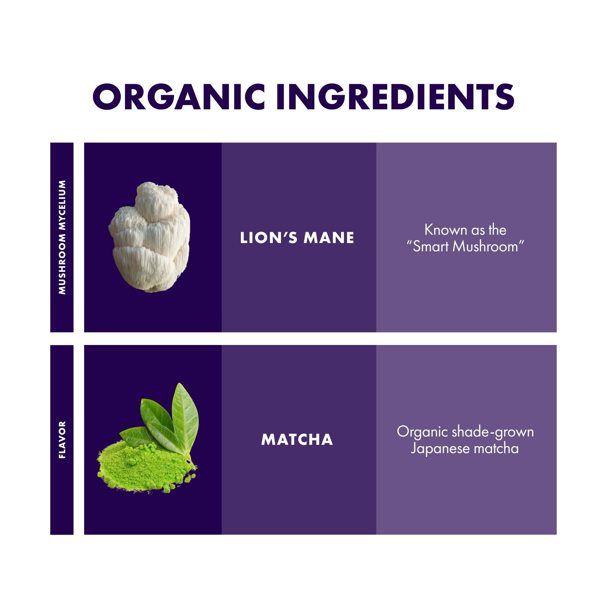 Host Defense MycoBrew Matcha - Matcha Drink Mix - Matcha Green Tea Powder that Includes Lion's Mushroom - Drink Mix with Organic Matcha Tea - 10
