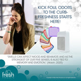 Fresh Products ourfreshe Plug In Air Freshener 30 Day Refills Replace Messy Aerosols with Dry Fragrance For Use in Medium Sized Spaces Coconut Vanilla
