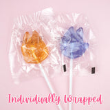 Bluey Lollipops Tin, Individually Wrapped Strawberry Suckers, Easter Basket Stuffer Candy Gift Set 1.41 Ounces