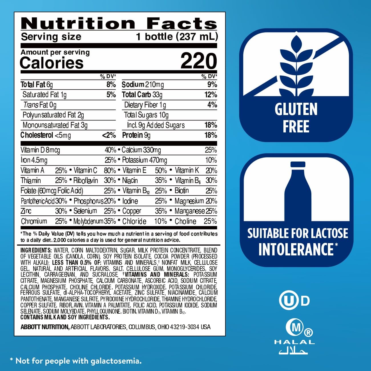 Ensure Original Milk Chocolate Nutrition Shake | Small Meal Replacement Shake | Ready To Drink | 9g Protein, 27 Vitamins and Minerals | 8 fl oz - 6