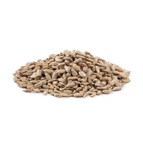 NUTS U.S. - Sunflower Kernels | Raw | A Rich Source of Protein | USA Grown and Packed in Resealable Bags!!! (2 LBS)